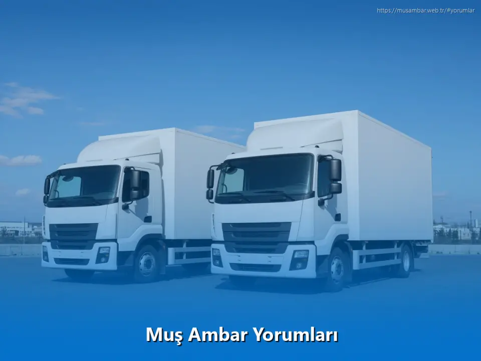 Muş Ambar Yorumları
