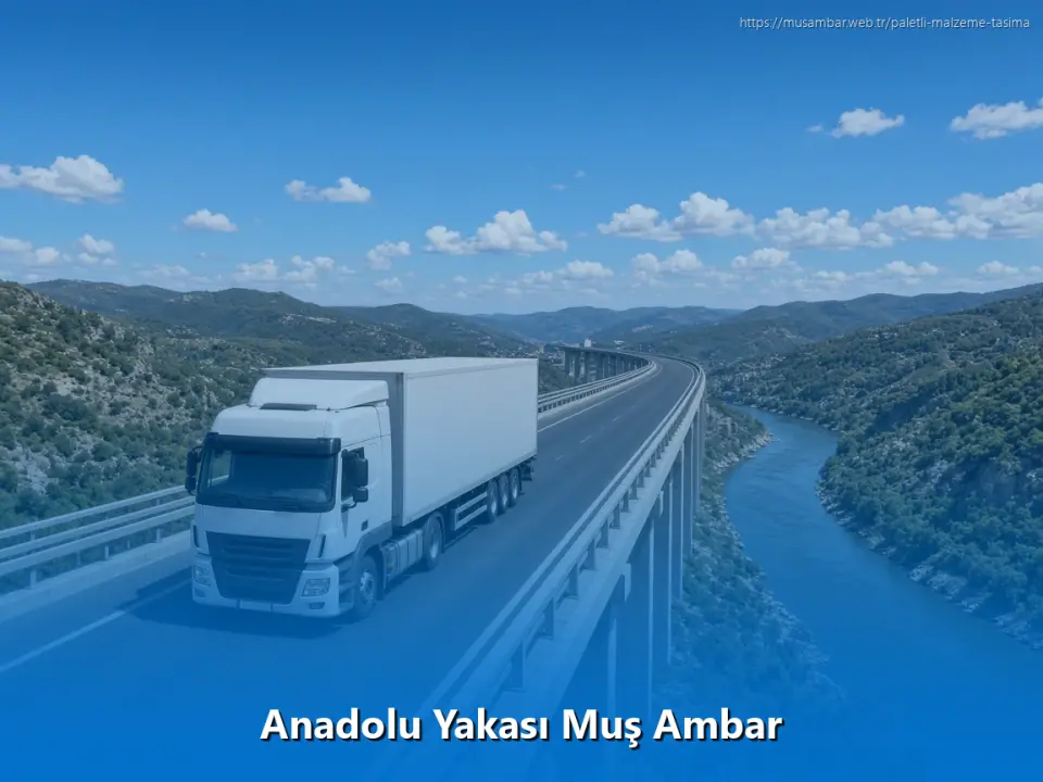 Anadolu Yakası Muş Ambar
