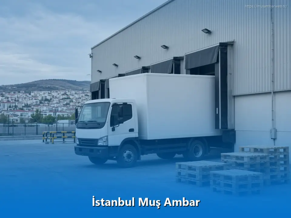 Muş Ambar